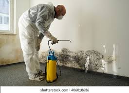 Best Mold Damage Restoration  in Cos Co, CT